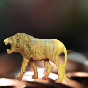Wooden Lion Curving