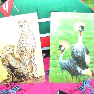 Wildlife Potrait