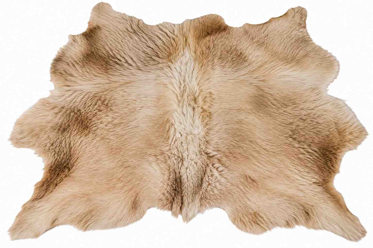 animal skin